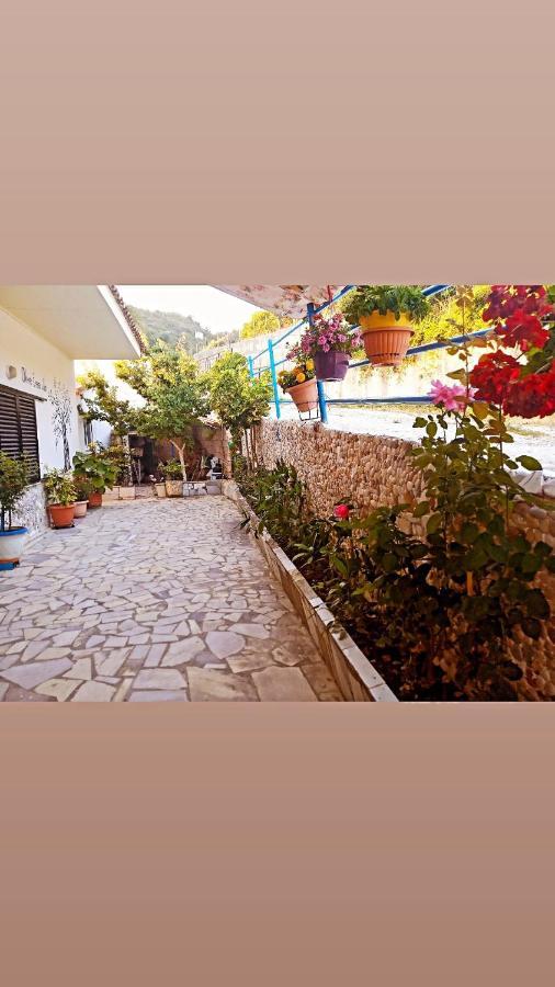 Olive Tree Villa ลีเกีย ภายนอก รูปภาพ