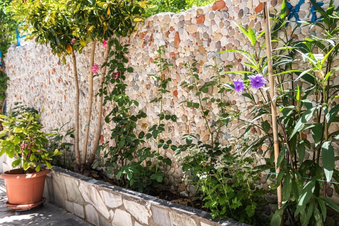 Olive Tree Villa ลีเกีย ภายนอก รูปภาพ