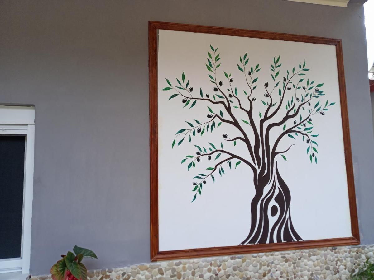 Olive Tree Villa ลีเกีย ภายนอก รูปภาพ